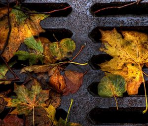 Preview wallpaper leaves, yellow, autumn, dampness, lattice, iron, dirt