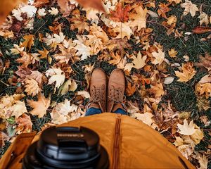 Preview wallpaper legs, boots, autumn, leaves
