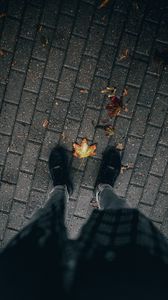 Preview wallpaper legs, paving stones, leaves, dry, autumn
