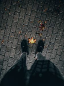 Preview wallpaper legs, paving stones, leaves, dry, autumn