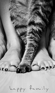 Preview wallpaper legs, people, cat, family