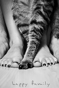 Preview wallpaper legs, people, cat, family