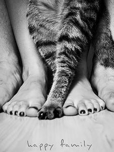 Preview wallpaper legs, people, cat, family
