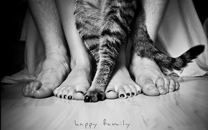 Preview wallpaper legs, people, cat, family