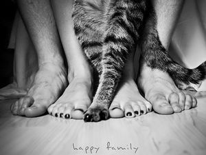 Preview wallpaper legs, people, cat, family