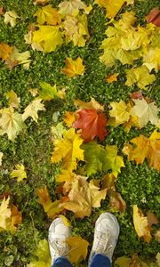 Preview wallpaper legs, sneakers, autumn, maple, leaves, grass