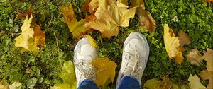 Preview wallpaper legs, sneakers, autumn, maple, leaves, grass