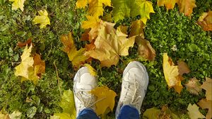 Preview wallpaper legs, sneakers, autumn, maple, leaves, grass