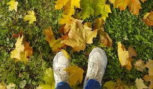 Preview wallpaper legs, sneakers, autumn, maple, leaves, grass