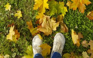 Preview wallpaper legs, sneakers, autumn, maple, leaves, grass