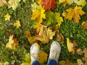Preview wallpaper legs, sneakers, autumn, maple, leaves, grass