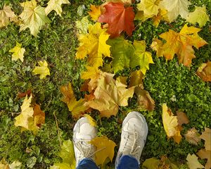 Preview wallpaper legs, sneakers, autumn, maple, leaves, grass