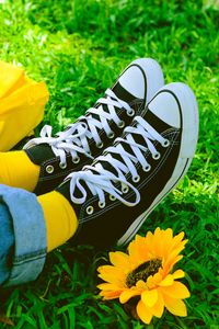 Preview wallpaper legs, sneakers, summer, grass, yellow, flower