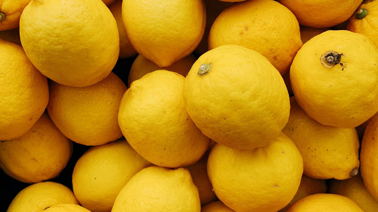 Wallpaper lemon, citrus, fruit, yellow