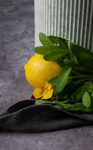 Preview wallpaper lemon, flower, fruit, citrus, yellow