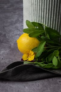 Preview wallpaper lemon, flower, fruit, citrus, yellow