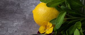 Preview wallpaper lemon, flower, fruit, citrus, yellow