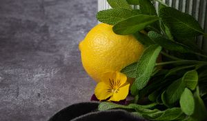 Preview wallpaper lemon, flower, fruit, citrus, yellow