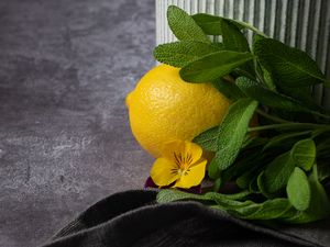 Preview wallpaper lemon, flower, fruit, citrus, yellow