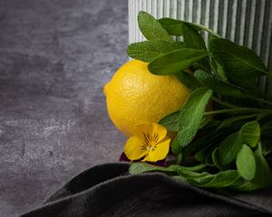 Preview wallpaper lemon, flower, fruit, citrus, yellow