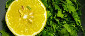 Preview wallpaper lemon, parsley, herbs, fruit