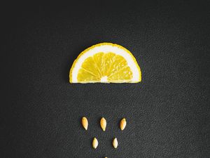 Preview wallpaper lemon, seeds, texture