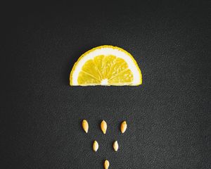 Preview wallpaper lemon, seeds, texture