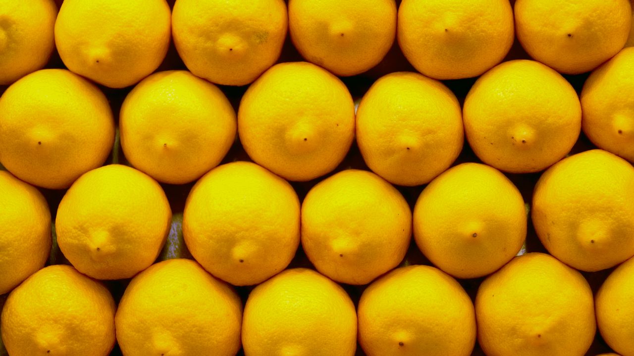 Wallpaper lemons, citrus, yellow