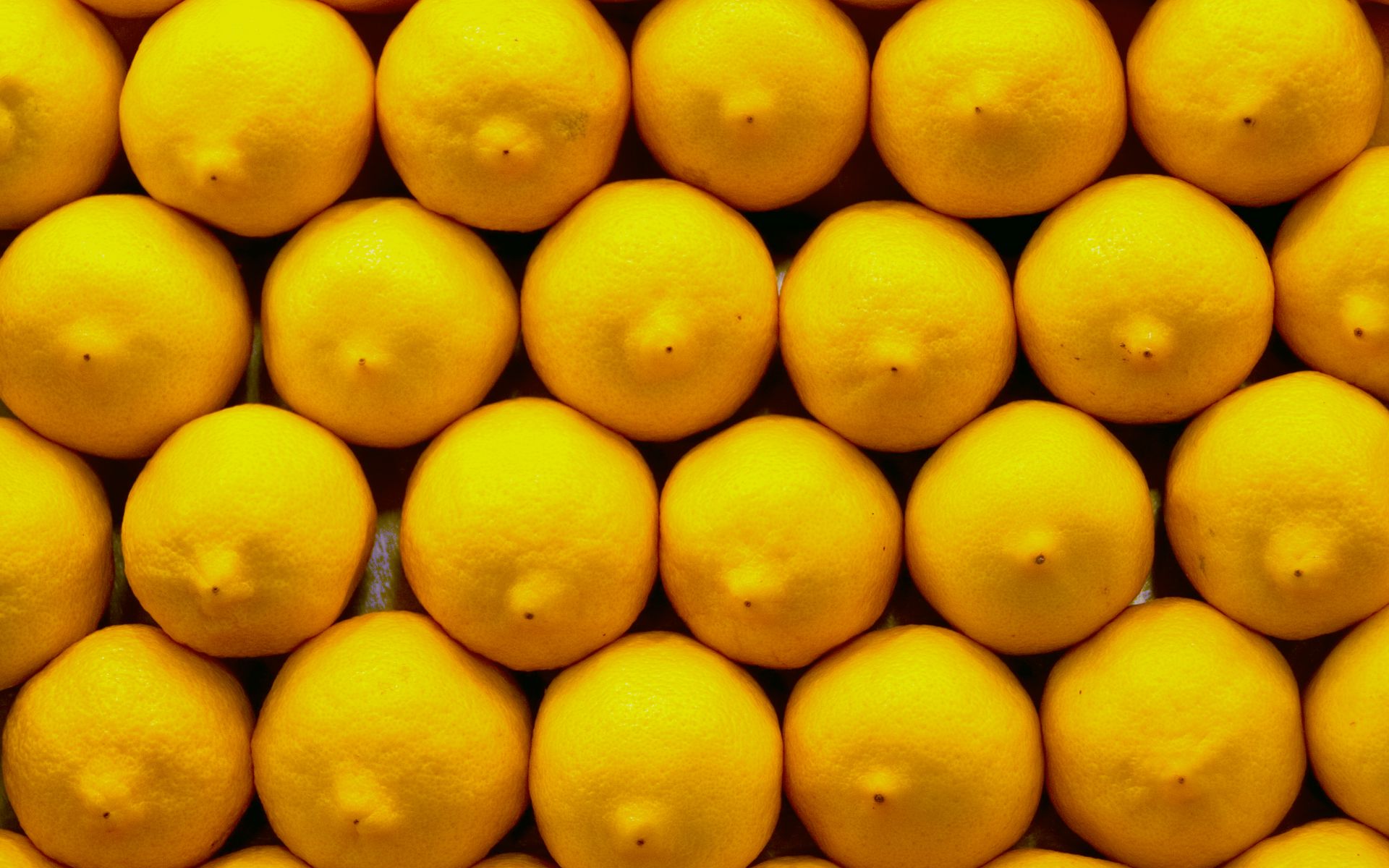 1920x1200 Wallpaper lemons, citrus, yellow