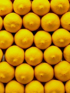 240x320 Wallpaper lemons, citrus, yellow