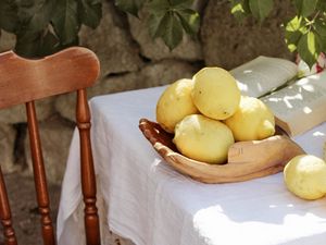 Preview wallpaper lemons, citruses, flowers, hat, chair, table