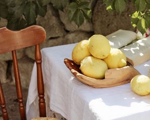 Preview wallpaper lemons, citruses, flowers, hat, chair, table