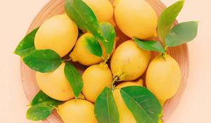 Preview wallpaper lemons, leaves, plate, fruit