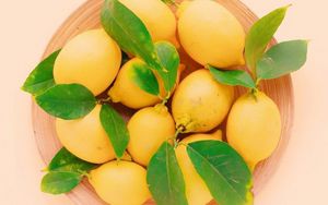 Preview wallpaper lemons, leaves, plate, fruit