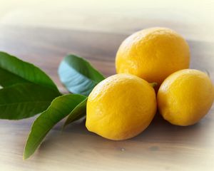 Preview wallpaper lemons, leaves, yellow, citron