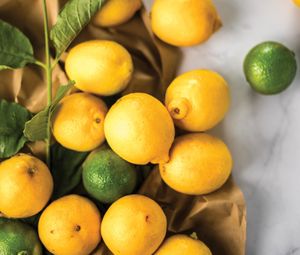 Preview wallpaper lemons, limes, paper