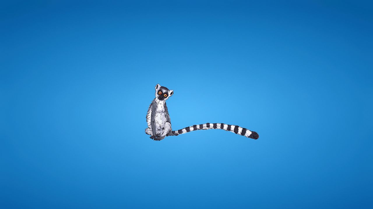 Wallpaper lemur, blue background, tail, striped, minimalism