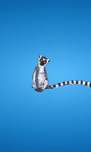 Preview wallpaper lemur, blue background, tail, striped, minimalism