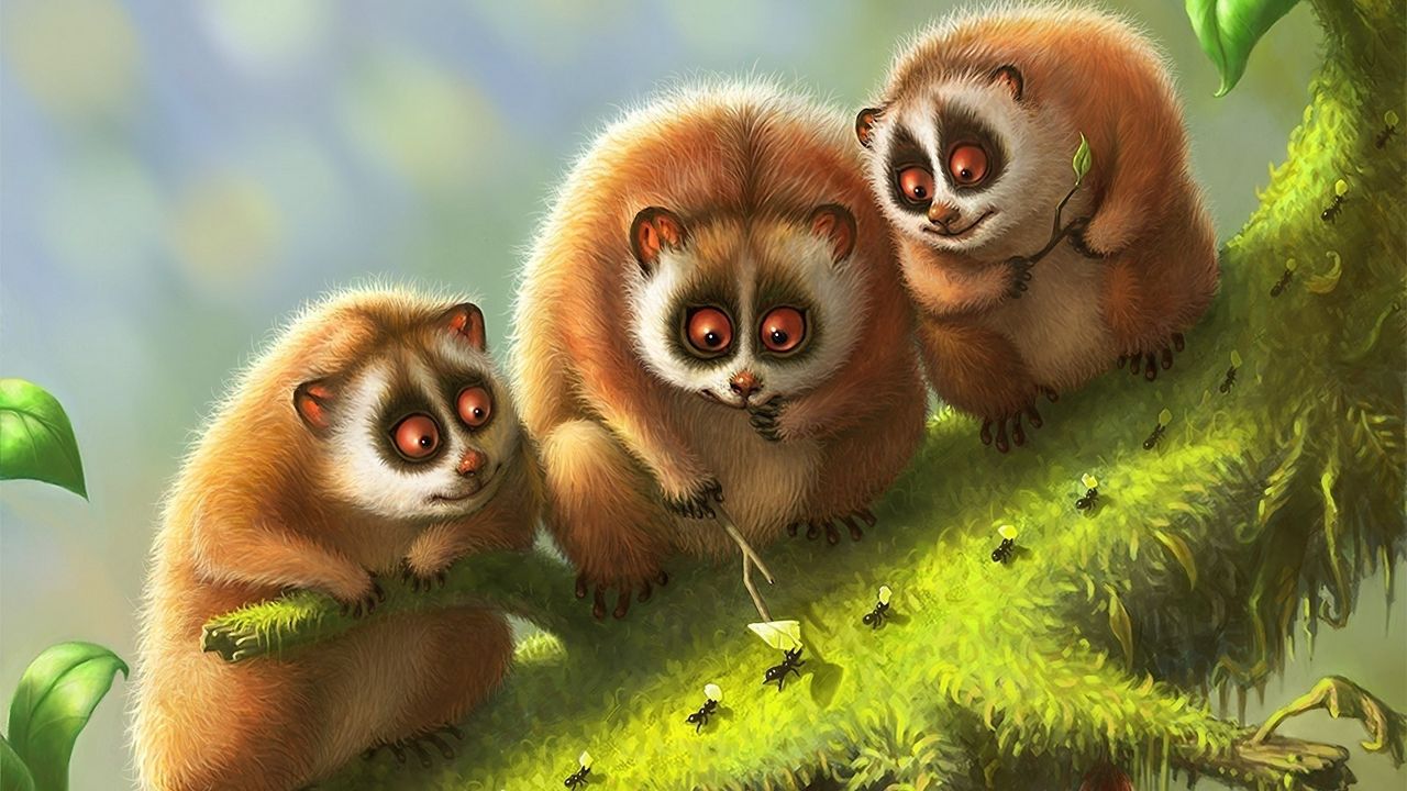 Wallpaper lemur, lemurs, branch, animals, moss