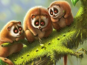 Preview wallpaper lemur, lemurs, branch, animals, moss