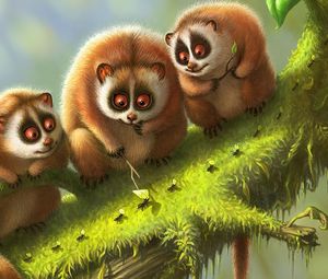 Preview wallpaper lemur, lemurs, branch, animals, moss