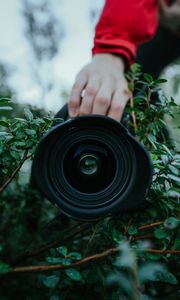 Preview wallpaper lens, camera, hand, bush