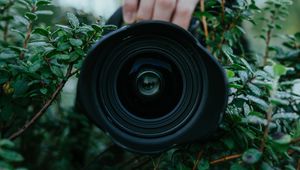 Preview wallpaper lens, camera, hand, bush