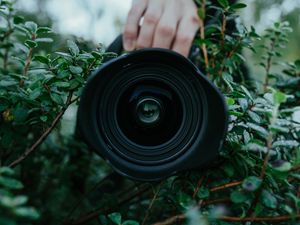 Preview wallpaper lens, camera, hand, bush