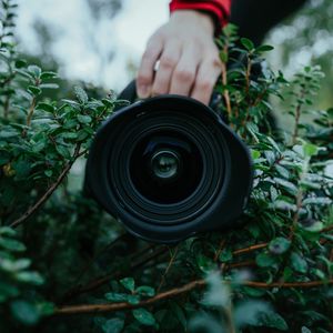 Preview wallpaper lens, camera, hand, bush