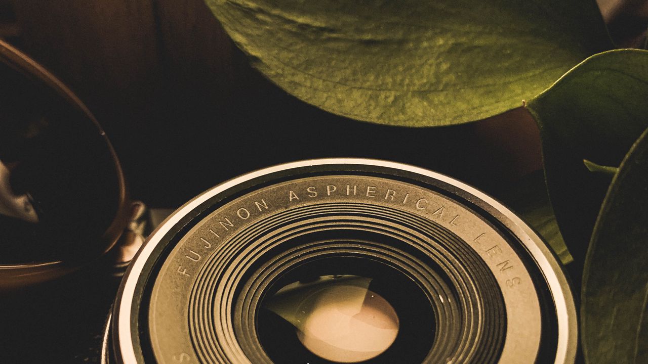 Wallpaper lens, leaves, dark
