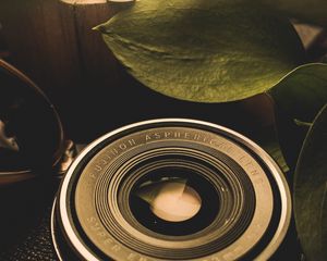 Preview wallpaper lens, leaves, dark
