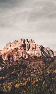 Preview wallpaper leogang, austria, mountains, trees