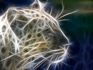 Preview wallpaper leopard, animal, light, line