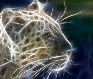 Preview wallpaper leopard, animal, light, line